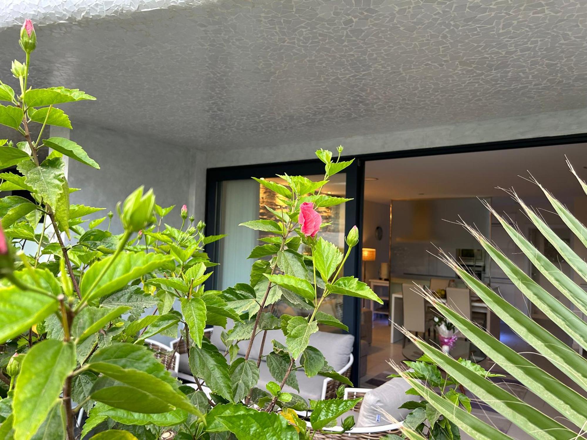 Ville Las Olas Palm-mar Exterior photo
